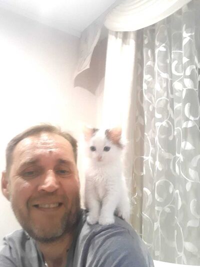   ,   , 51 ,   ,   