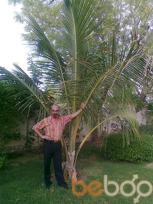  ,   Petea, 62 ,   