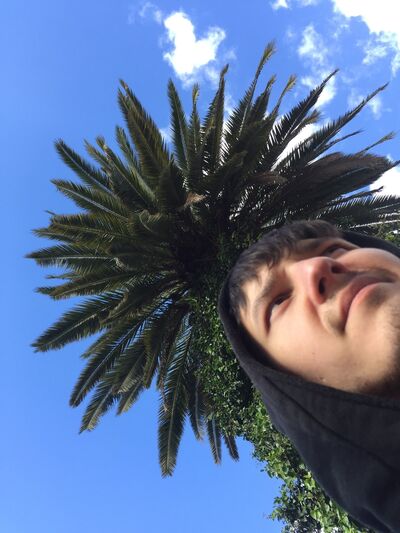  -,   , 36 ,   ,   , c 