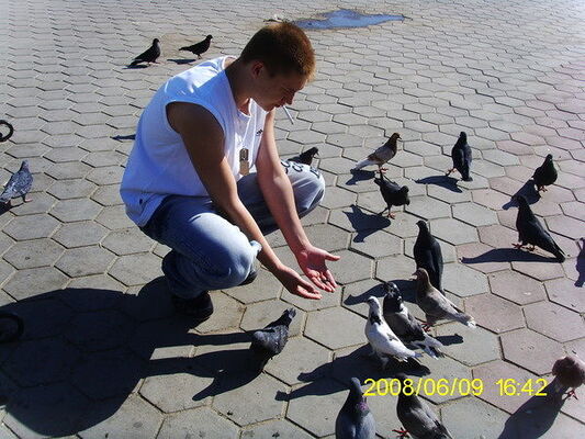  ,   Albert, 37 ,   ,   , c 