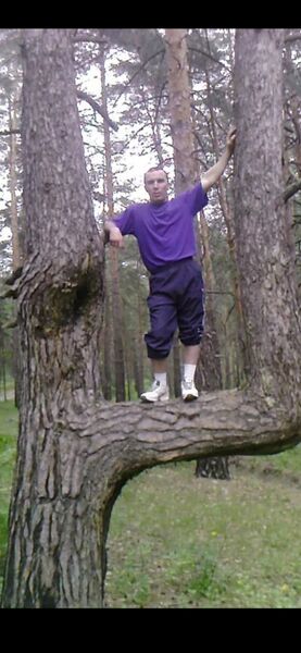  ,   Vik, 48 ,   ,   