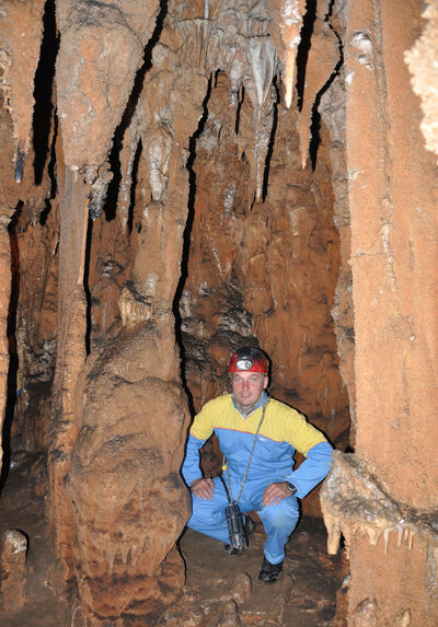 ,   Rytis, 46 ,   ,   , c 