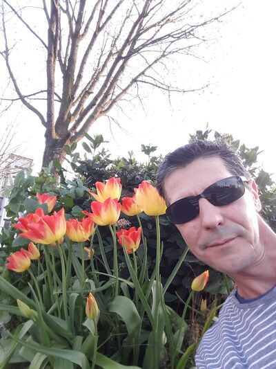  ,   , 52 ,   ,   