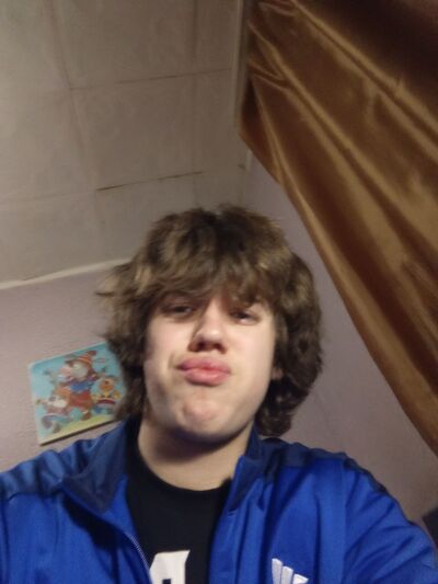  --,   Ffshte, 20 ,   ,   