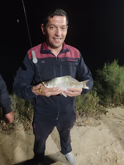  ,   Sanjar, 43 ,   ,   