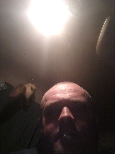  ,   , 40 ,   