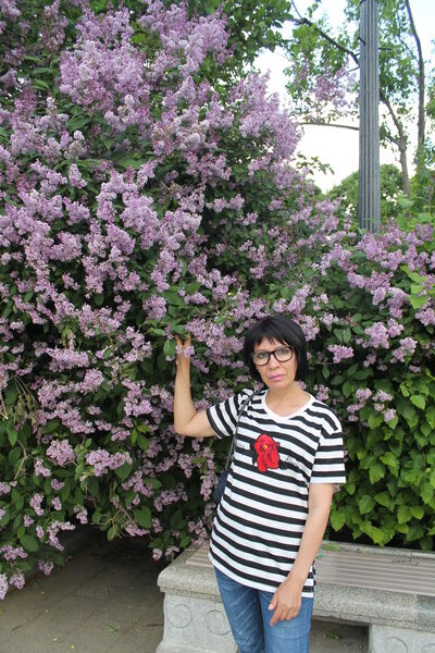  ,   , 57 ,   ,   , c 
