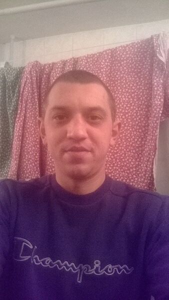  Felino,   , 41 ,   ,   , c 