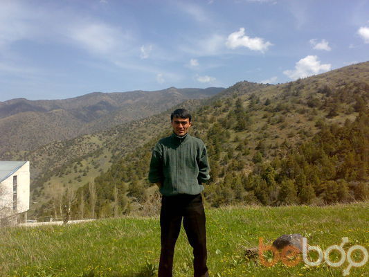  ,   Vdvdv, 37 ,  