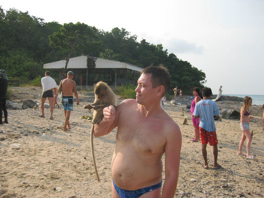  ,   , 56 ,   c 