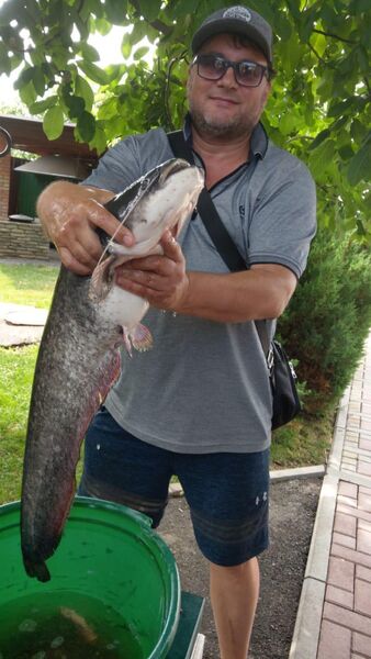  ,   , 50 ,     , c , 