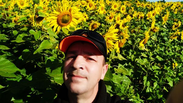  ,   , 52 ,   ,   