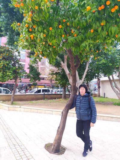 Denpasar,   , 55 ,   ,   