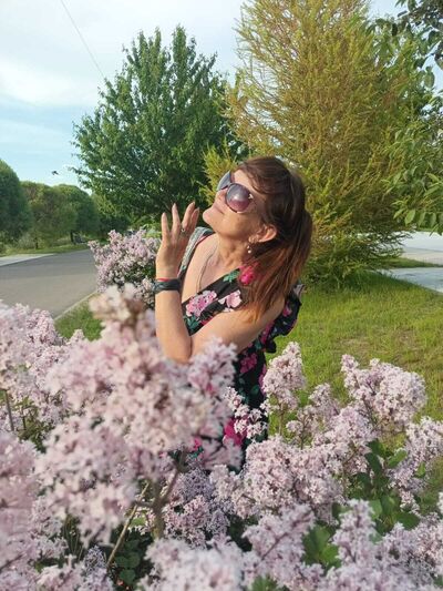  -,   , 62 ,   c , 