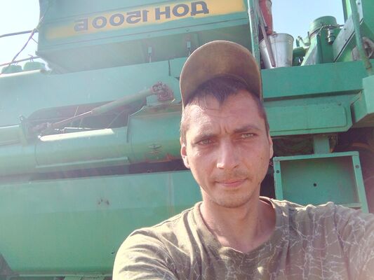   ,   Rete, 37 ,   ,   
