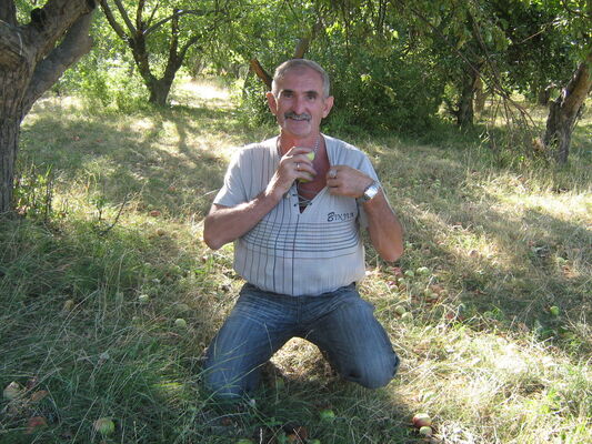  ,   , 73 ,   ,   , c 