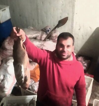  ,   , 39 ,   ,   