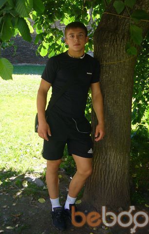   ,   Anmile, 33 ,   ,   , c 
