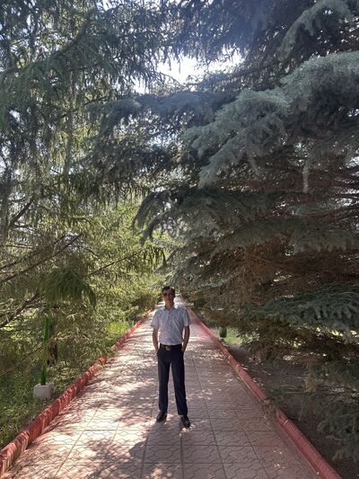  ,   Aman, 29 ,   ,   