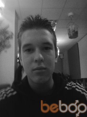  2393600  Tema, 31 ,    