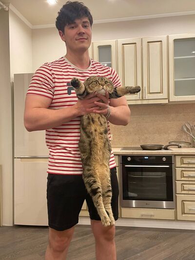  ,   , 27 ,   ,   