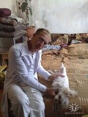  ,   , 44 ,  