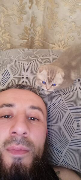  ,   , 37 ,   ,   , c 