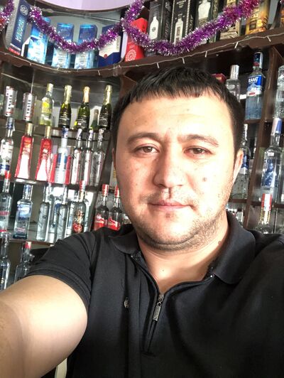  --,   Sardor, 37 ,   ,   