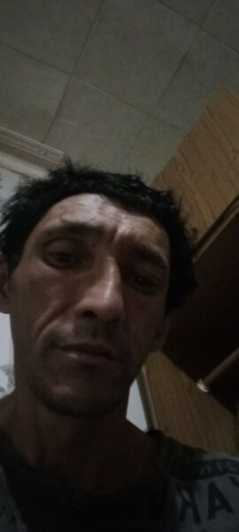  -,   , 44 ,   ,   