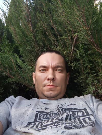  ,   , 41 ,   