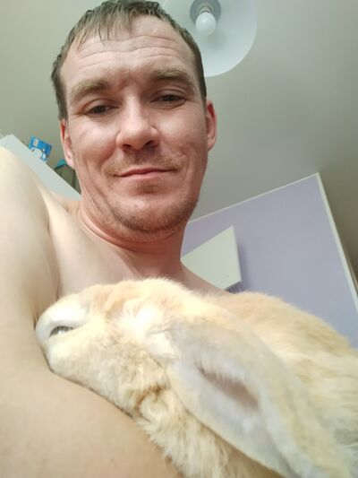  -,   , 37 ,   ,   , 