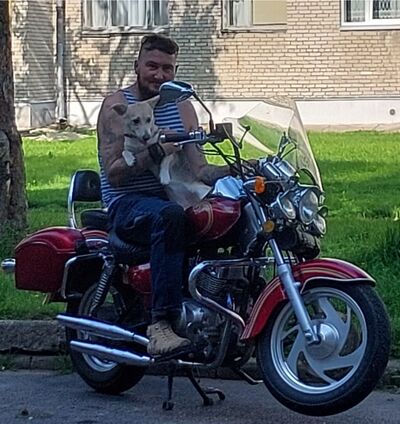  ,   Sergei, 51 ,   ,   