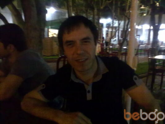  ,   Reptille, 42 ,   ,   , c 