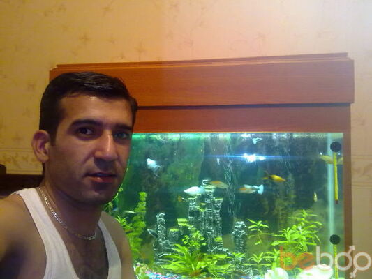  ,   Elnur, 41 ,     , c 
