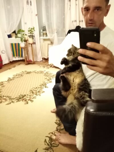  ,   , 54 ,   ,   