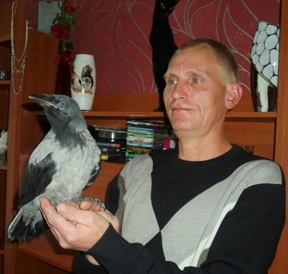  ,   , 58 ,   