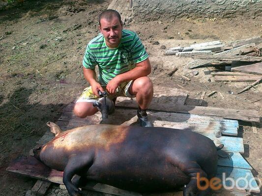  Vaslui,   Kolea, 41 ,   ,   , c 