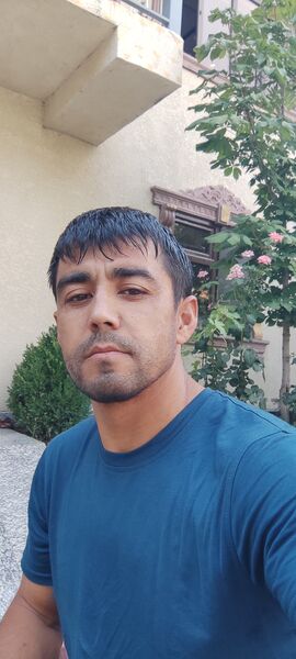  ,   Koly, 40 ,   ,   