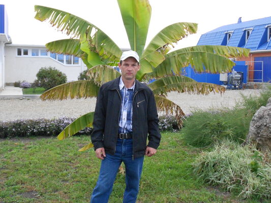  ,   , 50 ,   ,   , c 