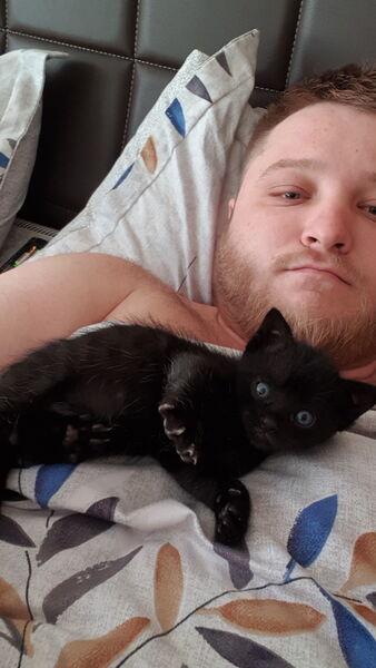  Creteil,   Radu, 33 ,   ,   , c , 