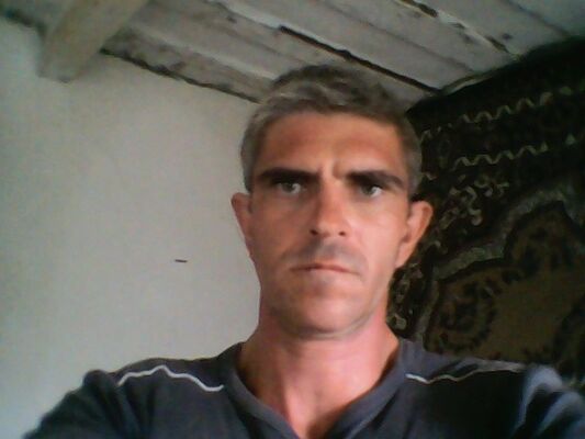  ,   , 49 ,     , c 
