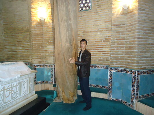  ,   Bek, 44 ,   