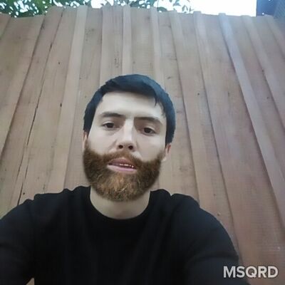  ,   WOLF, 37 ,   ,   , c , 