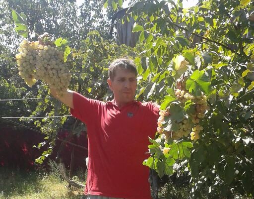  ,   , 59 ,   ,   , c 