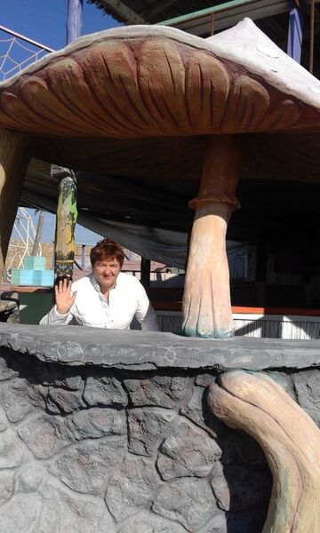  Meda,   Gaiia, 58 ,   ,   , c 