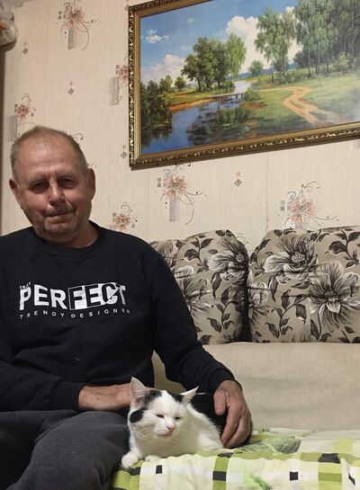  ,   , 67 ,   ,   