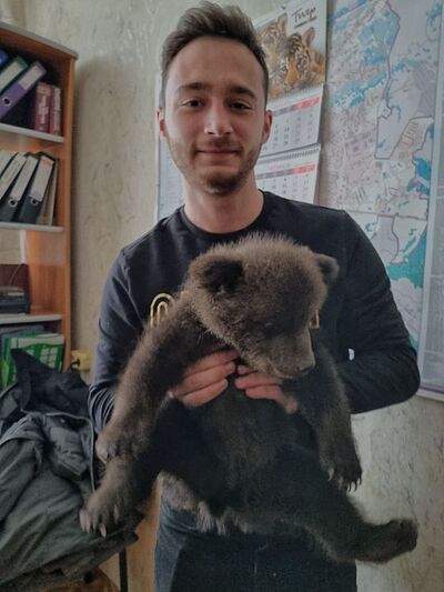  ,   , 24 ,   ,   , 