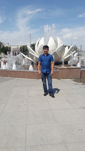  ,   , 38 ,   ,   