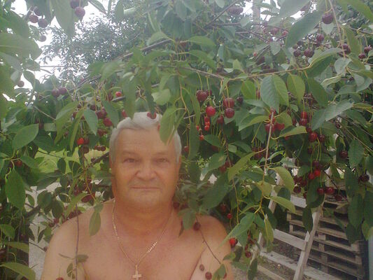  ,   , 72 ,   ,   