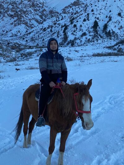  ,   Ulugbek, 28 ,   ,   